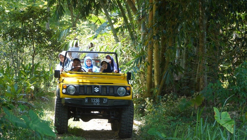Jungle Jeep Trail