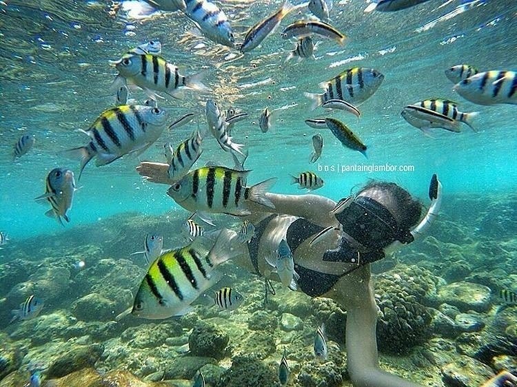 Snorkeling Experience